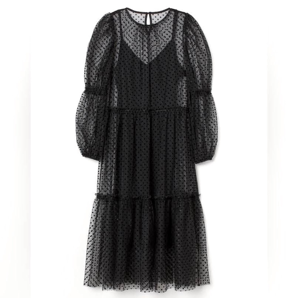H&M Black Polka Dot Tulle Dress